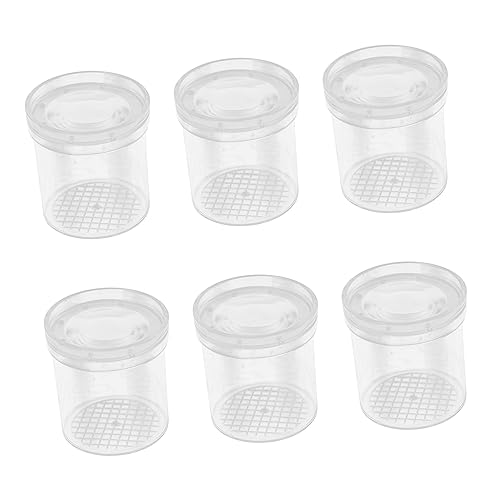 Mikinona 6 Stück Insekten Beobachtungsbox mit Lupe Transparente Kunststoffbehälter für Outdoor Wissenschaft und Erkundung Wiederverwendbar und Luftdurchlässig von Mikinona