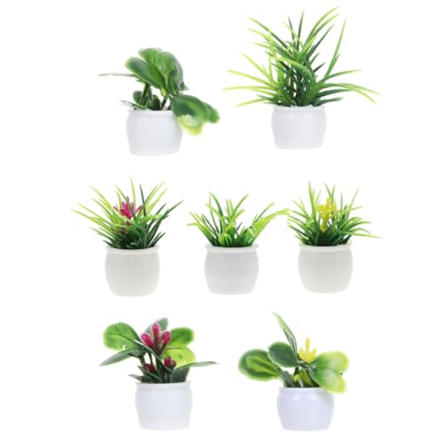 Mikinona 7 Stück Mini Pflanzen Modell Teiliges für Puppenhaus Deko Kunstpflanzen für Miniaturgärten und Wohnräume als Kreative Zimmer Deko und Garten Zubehör Mikinona 7 Stück Mini Pflanzen Modell Teiliges für Puppenhaus Deko Kunstpflanzen für Miniaturgärten und Wohnräume als Kreative Zimmer Deko und Garten Zubehör von Mikinona