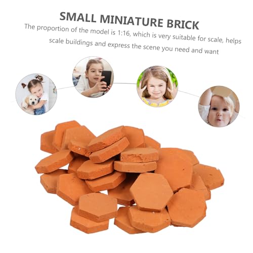 Mikinona 80 Stück Maßstab Realistische Simulation für Puppenhaus Sandtisch Mikro Landschaft und Bastelprojekte Geeignet für DIY und Miniaturbau Mikinona 80 Stück Maßstab Realistische Simulation für Puppenhaus Sandtisch Mikro Landschaft und Bastelprojekte Geeignet für DIY und Miniaturbau von Mikinona
