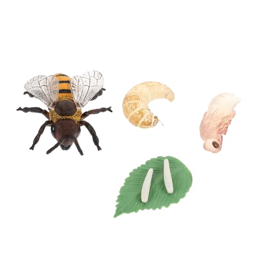 Mikinona Bienenwachstumszyklus Modellspielzeug Pädagogische Figuren für Simulation des Lebenszyklus der Honigbiene Lernspielzeug für Naturwissenschaftliche Bildung Leicht zu Reinigen aus von Mikinona
