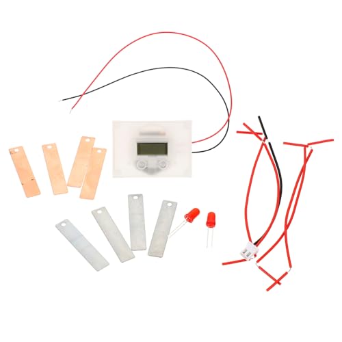 Mikinona DIY Fruchtbatterie Experimentierkasten für Schüler Kreatives Wissenschaftliches Lernspielzeug Praktisches Obstbatterie Kit zur Energieerzeugung Fördert Handfertigkeit und von Mikinona