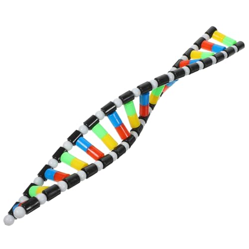 Mikinona DNA Modell Bausatz Doppelhelix aus Kunststoff Molekulares Lernmodell für Schüler Naturwissenschaftliche Dekoration und Biologie Unterrichtsmaterial für Vererbungslehre und Mikinona DNA Modell Bausatz Doppelhelix aus Kunststoff Molekulares Lernmodell für Schüler Naturwissenschaftliche Dekoration und Biologie Unterrichtsmaterial für Vererbungslehre und von Mikinona