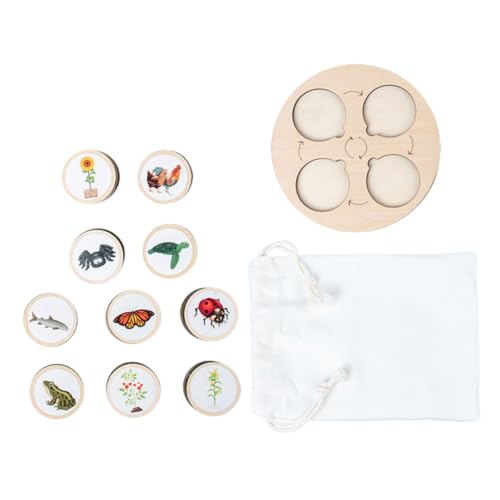 Mikinona Holz Tierlebenszyklus Modell mit Wachstumszyklus Tafel Pädagogisches Lernspielzeug für Detailreiche Holzfiguren zur Entwicklung der Kreativität Sicher und Langlebig von Mikinona