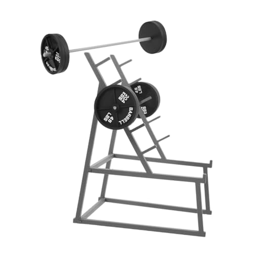 Mikinona Miniatur Barbell Teilig mit Ständer Realistisches Miniatur Fitnessgerät für Puppenhaus Dekoration Glatte Oberfläche Detailgetreues Design Fotorequisite von Mikinona