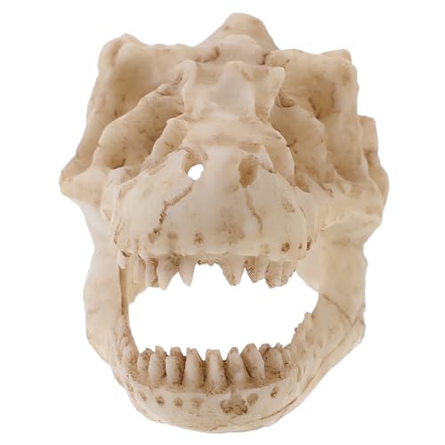 Mikinona Miniatur Resin Dinosaurierschädel Modell Detailgetreues Langlebiges Skull Modell aus Dekoratives Sammlerstück für Büro Regal für Dinosaurierliebhaber Terrarium Zubehör von Mikinona