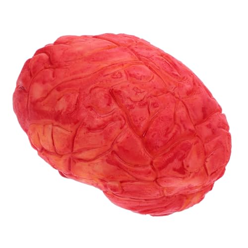 Mikinona Realistische Halloween Deko Gehirn Attrappe Dunkelrot Lebensgroß Horror Requisite für Gruselige Party Accessoires und Spukhaus Dekorationen von Mikinona