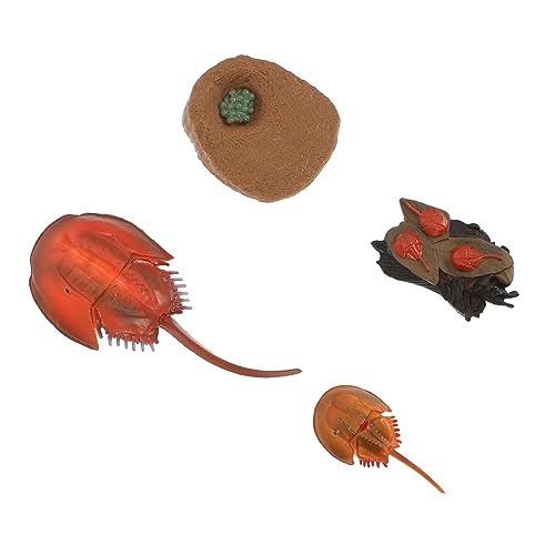 Mikinona Realistische Meerestiere Mini Figuren Umweltfreundliches Tier Pädagogisch Desktop Deko für Kinderzimmer Wohnzimmer und Büro Mikinona Realistische Meerestiere Mini Figuren Umweltfreundliches Tier Pädagogisch Desktop Deko für Kinderzimmer Wohnzimmer und Büro von Mikinona