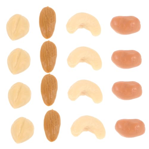 Mikinona Realistische Mini Dekoration Lebensechte Simulation Nüsse für Puppenhaus DIY Basteln Fotografie Requisiten Vielseitig Verwendbar Langlebig und Detailgetreu von Mikinona