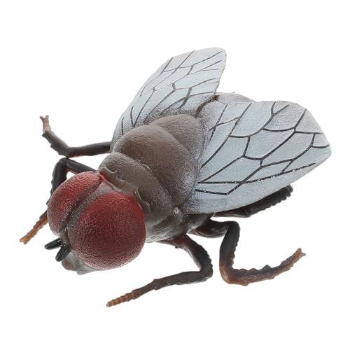 Mikinona Realistisches Fliegen Modell für Kognitive Insekten Spielzeuge für Streiche und Halloween Dekorationen Sicher für Raumgestaltung Mikinona Realistisches Fliegen Modell für Kognitive Insekten Spielzeuge für Streiche und Halloween Dekorationen Sicher für Raumgestaltung von Mikinona