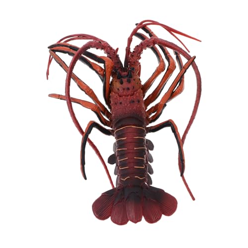 Mikinona Realistisches Hummer Modell Meerestier Simulation Tierfigur Deko Strand Aquarium Zubehör Langlebig und Farbecht von Mikinona