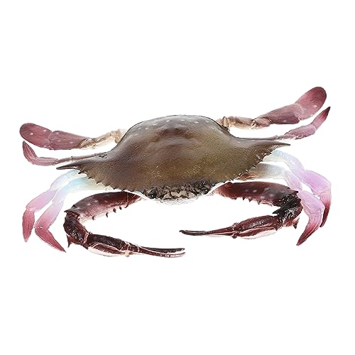 Mikinona Realistisches Krabbenmodell aus PVC Kreatives Meerestier für Dekoration Lernhilfen und Rollenspiele für Aquarien Badezimmer und von Mikinona