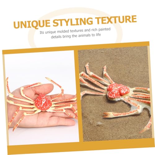 Mikinona Realistisches Krabbenmodell für Pädagogisches Meeres tierfiguren Geschenk Robustes Kunststoff Modell Lernspielzeug für Jungen und Mädchen Geburtstagsmitbringsel Meerestiere Mikinona Realistisches Krabbenmodell für Pädagogisches Meeres tierfiguren Geschenk Robustes Kunststoff Modell Lernspielzeug für Jungen und Mädchen Geburtstagsmitbringsel Meerestiere von Mikinona