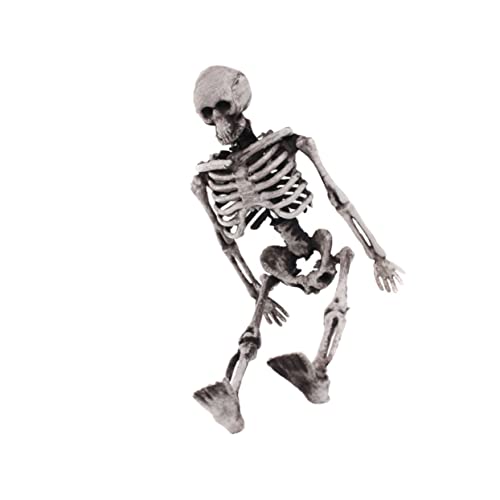 Mikinona Realistisches Mini Skelett Dekoration Halloween Deko Skelett Modell Gruselige Party Requisite für Halloween Geisterfest und Horror Mikinona Realistisches Mini Skelett Dekoration Halloween Deko Skelett Modell Gruselige Party Requisite für Halloween Geisterfest und Horror von Mikinona