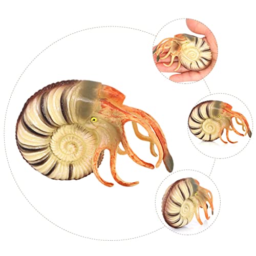 Mikinona Simuliertes Nautilus Modell Tier Figur Pädagogisches Aquarium Dekoration Stabiler Stand Naturgetreu Detailreich für Sammler Mikinona Simuliertes Nautilus Modell Tier Figur Pädagogisches Aquarium Dekoration Stabiler Stand Naturgetreu Detailreich für Sammler von Mikinona