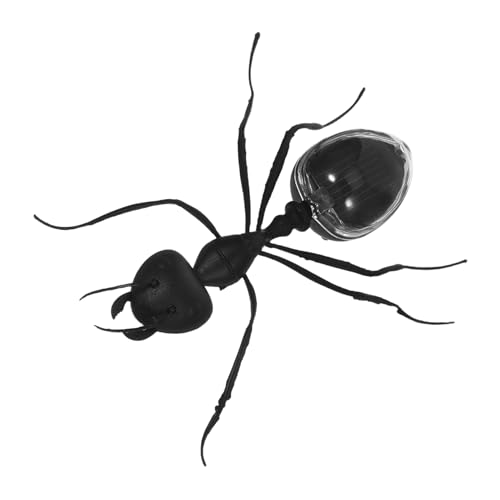 Mikinona Solarbetriebene Insekten Realistische für Wissenschaftliches Zubehör Indoor und Outdoor Fördert und Naturinteresse Leicht und Tragbar Mikinona Solarbetriebene Insekten Realistische für Wissenschaftliches Zubehör Indoor und Outdoor Fördert und Naturinteresse Leicht und Tragbar von Mikinona