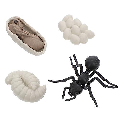 Mikinona Teiliges Worker Ants Life Cycle Modell Realistische Ameisen Figuren aus Robustem Kunststoff Pädagogisches Lernspielzeug für Fördert Kognitive Entwicklung und Naturverständnis für von Mikinona