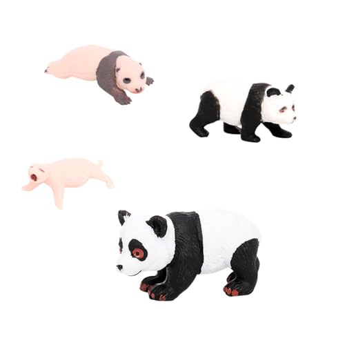 Milageto 4-teiliges Panda-Tier-Lebenszyklus-Modell, Panda-Wachstumszyklus-Figuren, Lernspielzeug, statisches Party-Display, kognitives Spielzeug für Kinder, Panda-Wachstumszyklus 3 von Milageto