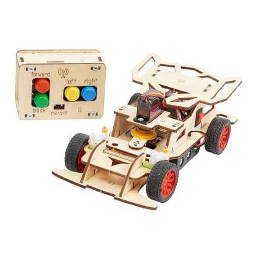 Milageto DIY Mini-Fernbedienungsauto-Spielzeug, 3D-Puzzle-Spielzeug, handgefertigtes Lehrmaterial für physikalische Experimente für Kinder ab 8 Jahren, Schule von Milageto