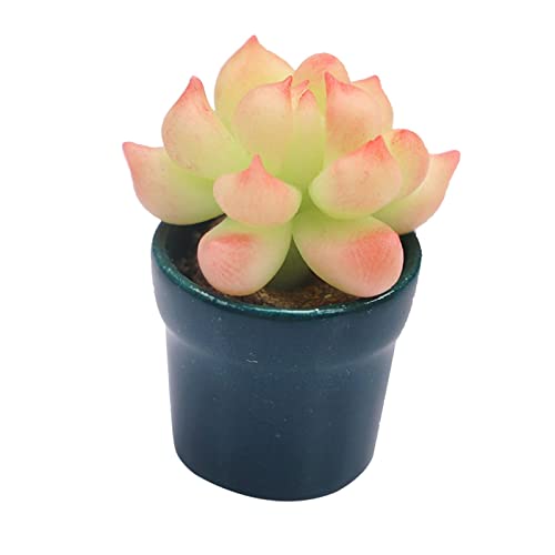 Milageto Puppenhaus Mini Topfblumen Bonsai für 1:12 Puppenhaus Dekorationsmöbel von Milageto