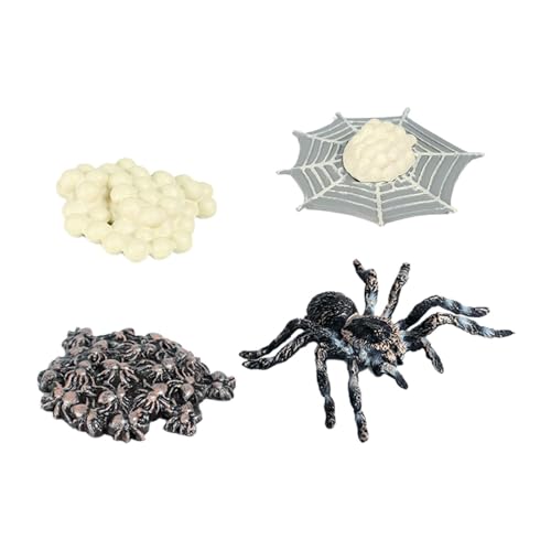 Milageto Spinne Lebenszyklus Modell für Kinder Lernspielzeug Set, Schwarz von Milageto