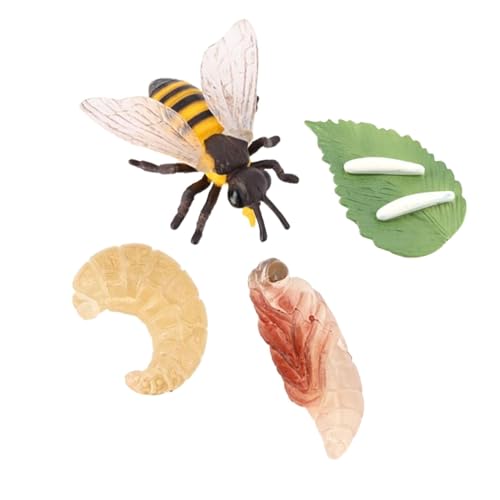 Milageto Wachstumszyklusmodell, Lebenszyklus von Bienenspielzeug, Bienentierlebenszyklus, Tierlebenszyklus-Wachstumszyklusfigur, von Milageto
