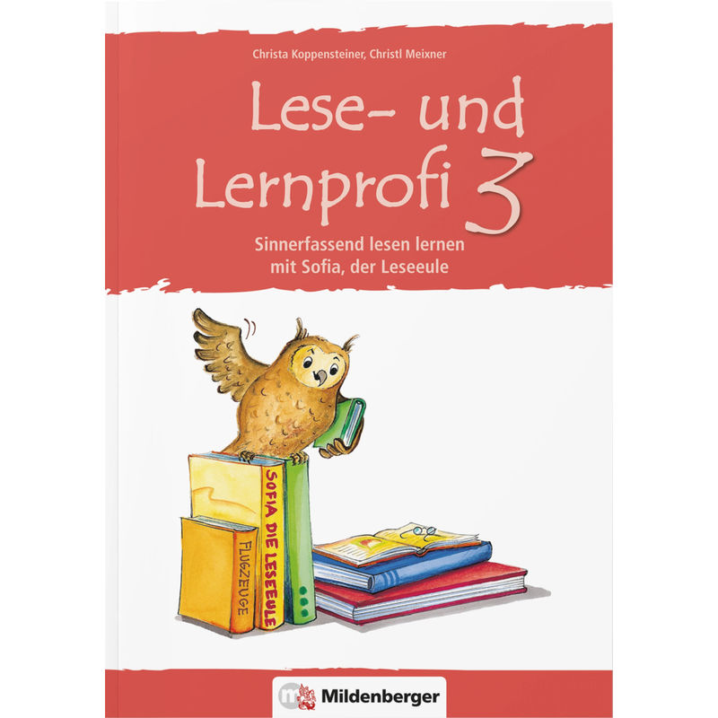 Lese- und Lernprofi 3 - Arbeitsheft von Mildenberger