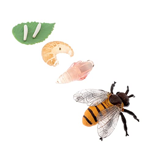 MILISTEN Kleiner Bienenmodell Spielzeug für Kinder Simulationsmodell Bienenwachstumszyklus Lebensechtes Insektenmodell für Kreative Bildung und Partydekoration MILISTEN Kleiner Bienenmodell Spielzeug für Kinder Simulationsmodell Bienenwachstumszyklus Lebensechtes Insektenmodell für Kreative Bildung und Partydekoration von Milisten