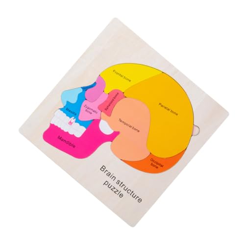 MILISTEN 1Satz Holzpuzzle für Interaktives Gehirnstruktur Puzzle Kognitionsspielzeug Kreativität für Jahre für Frühkindliche von Milisten