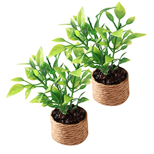 MILISTEN 2 Stück Mini-orangenbaum Topfpflanzen Mini-pflanzenspielzeug Kleine Zimmerpflanzen Kleine Topfornamente Mini-Bonsai-Figuren-Ornament Miniaturpuppenhauspflanzen Plastik von Milisten