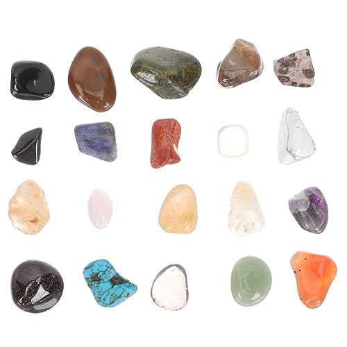 MILISTEN 20 Stück Teiliges Polierte Steine für Tumbled Steine und Aufbewahrungsbox Geologische Lernmaterialien für Grundschüler MILISTEN 20 Stück Teiliges Polierte Steine für Tumbled Steine und Aufbewahrungsbox Geologische Lernmaterialien für Grundschüler von Milisten