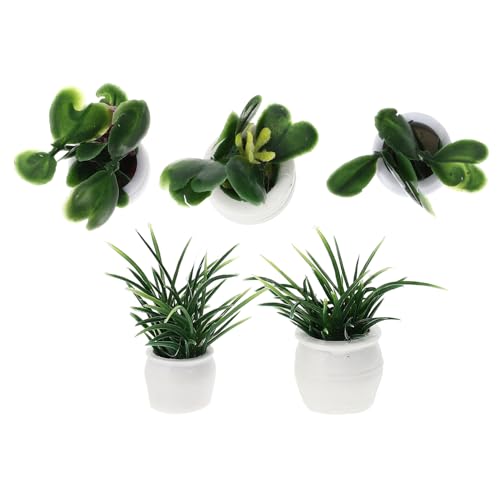 MILISTEN 5 Stück Mini-Pflanzenmodell Mini -Topf -Miniatur Miniaturen Mini-Topfpflanze Blumenmodell Puppenhaus Miniatur Moos Mini-Pflanzen-Bonsai-Schmuck Mini-Bonsai-Figuren-Ornament Plastik MILISTEN 5 Stück Mini-Pflanzenmodell Mini -Topf -Miniatur Miniaturen Mini-Topfpflanze Blumenmodell Puppenhaus Miniatur Moos Mini-Pflanzen-Bonsai-Schmuck Mini-Bonsai-Figuren-Ornament Plastik von Milisten