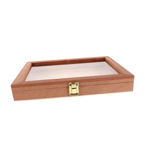 MILISTEN Box Holz Aufbewahrungsbox Pflanzenprobenrahmen Insektenvitrine Insektenvitrine Schmetterlingsprobenvitrine Insektenprobenvitrine Probenvitrine Hellbraun von Milisten