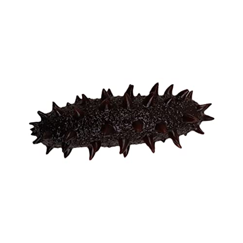 MILISTEN Fake Sea Cucumber Modell Simuliertes Meeresbewohner Dekoratives Foto für Restaurant Lernspielzeug Hochwertiges Kognitives Modell Mittelgröße MILISTEN Fake Sea Cucumber Modell Simuliertes Meeresbewohner Dekoratives Foto für Restaurant Lernspielzeug Hochwertiges Kognitives Modell Mittelgröße von Milisten