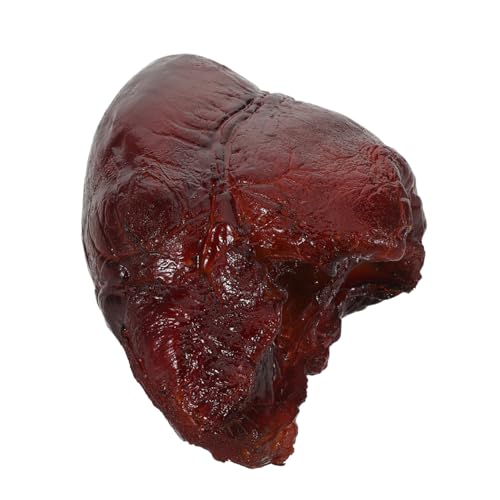 MILISTEN Realistisches Schweineherz Modell Detailgetreu Küchen-deko Food Prop Fake Fleisch Simulation Für Restaurant Schaufenster Fotografie Zubehör MILISTEN Realistisches Schweineherz Modell Detailgetreu Küchen-deko Food Prop Fake Fleisch Simulation Für Restaurant Schaufenster Fotografie Zubehör von Milisten