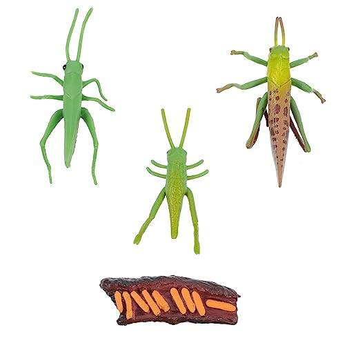 Milisten 1 Satz Kreislaufspielzeug Lebenszyklus Figuren zur Frühkindlichen Bildung Realistische Insektenmodelle für Kreative Tischdekoration und Lernhilfen Milisten 1 Satz Kreislaufspielzeug Lebenszyklus Figuren zur Frühkindlichen Bildung Realistische Insektenmodelle für Kreative Tischdekoration und Lernhilfen von Milisten