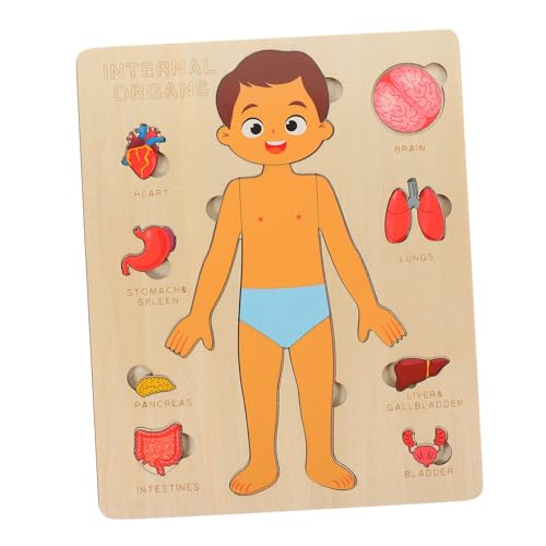 Milisten 1 Satz Menschliche Körperstruktur Puzzlespielzeug puzzlekleber Werkzeug Puzzle sortierschalen spielzeuge Körperorgane Holzpuzzles Frühes Lernen Lehrmittel von Milisten
