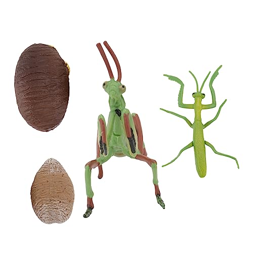Milisten Mantis Modell Figur Spielzeug für Kinder Lernspielzeug Realistische Tierfiguren Pädagogisches Insekten Modell für Kreative Spiele von Milisten