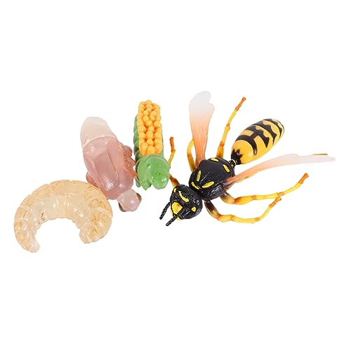 Milisten 1 Satz Teiliges Kreatives Simulation Modell Wespens Lebenszyklus Lehrmaterial für für Junge Insektenforscher Kognitiven Fähigkeiten Milisten 1 Satz Teiliges Kreatives Simulation Modell Wespens Lebenszyklus Lehrmaterial für für Junge Insektenforscher Kognitiven Fähigkeiten von Milisten