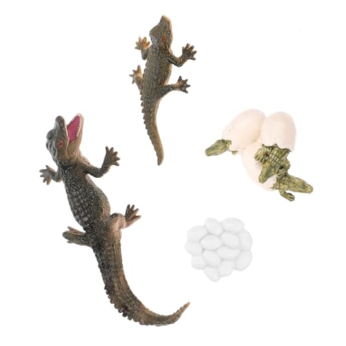 Milisten Alligator Lebenszyklus Modell Reptilienfigur für Kinder Lernspielzeug zur Früherziehung Pädagogisches Wachstumsmodell Lebenszyklus Figur für Rollenspiele und Präsentationen von Milisten