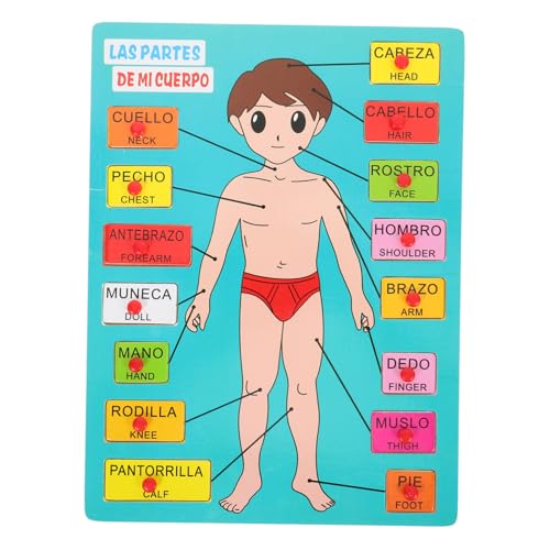 Milisten 1 Set Lernspielzeug Früherziehung Lehrmittel Schulpädagogisches Werkzeug Körperteile Puzzle Menschliche Körperorgane Puzzle Lehrmittel Kognitives Kinderspielzeug Holz Milisten 1 Set Lernspielzeug Früherziehung Lehrmittel Schulpädagogisches Werkzeug Körperteile Puzzle Menschliche Körperorgane Puzzle Lehrmittel Kognitives Kinderspielzeug Holz von Milisten