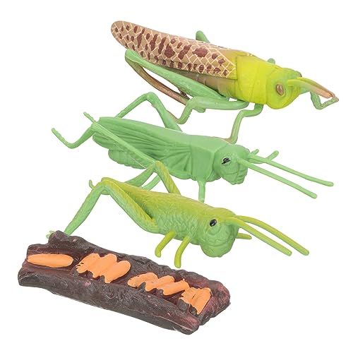Milisten 1 Set Tiermodell Modelle Kinderspielzeug Tier Kognitives Modell Lernspielzeug Tierzyklus Tierwachstumszyklus Modell Tierzyklus Modell Kleines PVC Grün Milisten 1 Set Tiermodell Modelle Kinderspielzeug Tier Kognitives Modell Lernspielzeug Tierzyklus Tierwachstumszyklus Modell Tierzyklus Modell Kleines PVC Grün von Milisten