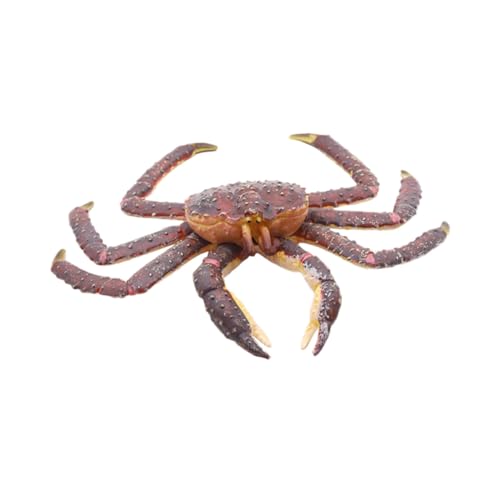 Milisten 1 Stück Krabbenmodell Simuliertes Meerestiere Modell Meerestier Ornamente Tierspielzeug Hummermodell Gefälschte Krabbe Krabbenförmige Dekoration Meerestiere von Milisten