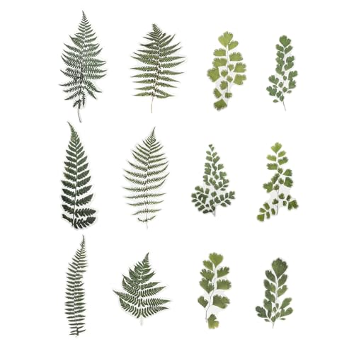 Milisten 12 Blatt Aufkleber Tagebuch Etiketten Scrapbooking-Etiketten das Haustier Grün Milisten 12 Blatt Aufkleber Tagebuch Etiketten Scrapbooking-Etiketten das Haustier Grün von Milisten
