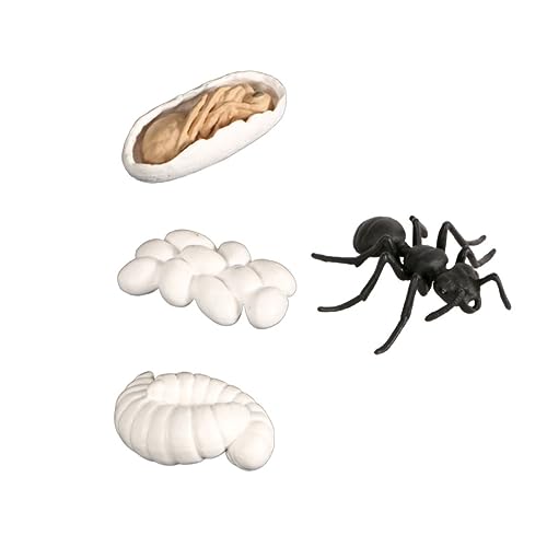 Milisten 1Satz Cycle Display Realistisches Tiermodell für Eier Larve und Erwachsene Lernspielzeug für Familie und Freunde von Milisten