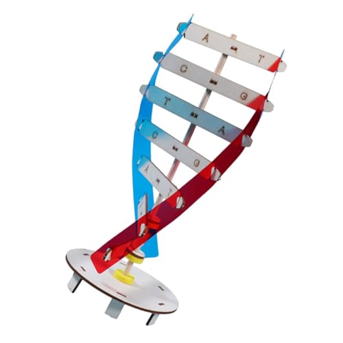 Milisten 1Satz DIY DNA Doppelhelix Modellset Handgefertigtes Wissenschaftsmodell für Bildung Fördert Kritisches und Feinmotorik für Schüler und Biologieunterricht von Milisten