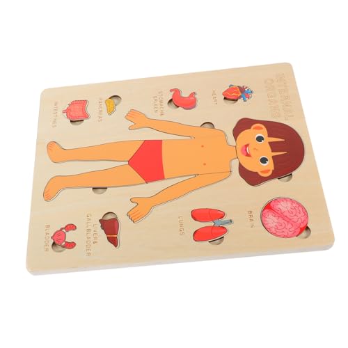 Milisten 1Satz Holzpuzzle für Bildungsanatomiemodell Kognitiven Fähigkeiten und Hand Auge Koordination für Jungen Milisten 1Satz Holzpuzzle für Bildungsanatomiemodell Kognitiven Fähigkeiten und Hand Auge Koordination für Jungen von Milisten