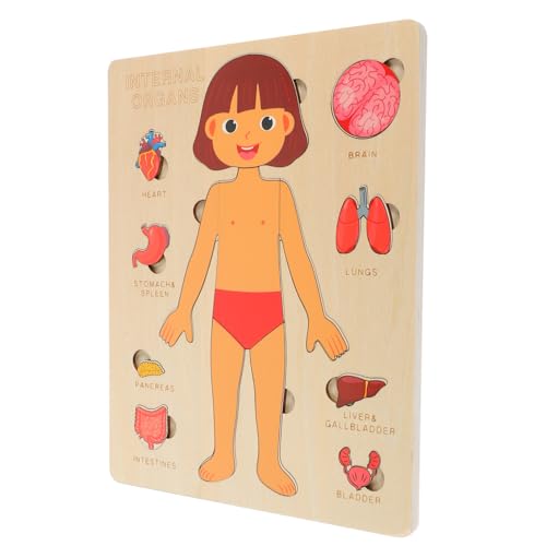 Milisten 1Satz Körperpuzzle für Holzrätsel für Körperorgane Pädagogisches Montessori zur Sensibilisierung und Frühen Lernförderung für Jungen und Mädchen Ab Jahren von Milisten