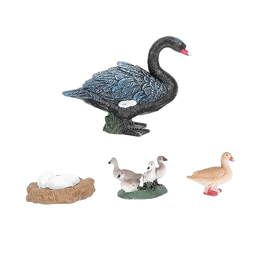 Milisten 1Satz Kunststoff Swan Wachstumsmodellen Lernspielzeug für Fördert Kognitive Fähigkeiten und Wissenschaftliche Bildung Simuliert Lebenszyklus von Schwänen Sicheres Milisten 1Satz Kunststoff Swan Wachstumsmodellen Lernspielzeug für Fördert Kognitive Fähigkeiten und Wissenschaftliche Bildung Simuliert Lebenszyklus von Schwänen Sicheres von Milisten