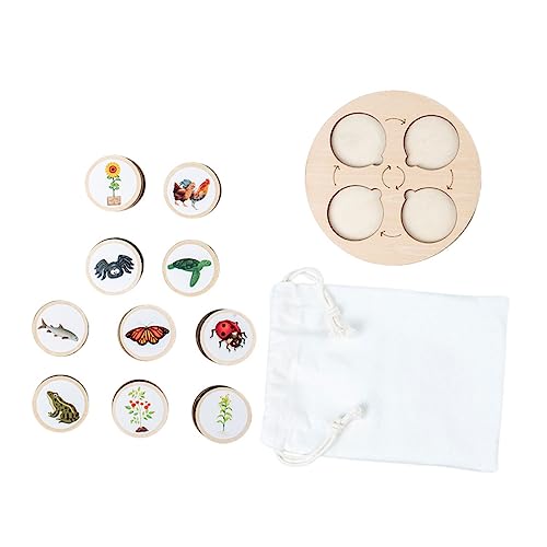 Milisten 1Satz Lebenszyklus Modell für für Tiere und Pflanzen Holzspielzeug für Frühe Bildung für Interaktion und Kreative Milisten 1Satz Lebenszyklus Modell für für Tiere und Pflanzen Holzspielzeug für Frühe Bildung für Interaktion und Kreative von Milisten