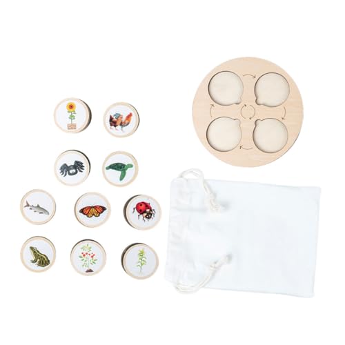 Milisten 1Satz Lebenszyklus Puzzle Tierwachstumsmodelle für Pädagogisches Holzspielzeug zur Kognitiver Fähigkeiten und Kreativen Milisten 1Satz Lebenszyklus Puzzle Tierwachstumsmodelle für Pädagogisches Holzspielzeug zur Kognitiver Fähigkeiten und Kreativen von Milisten